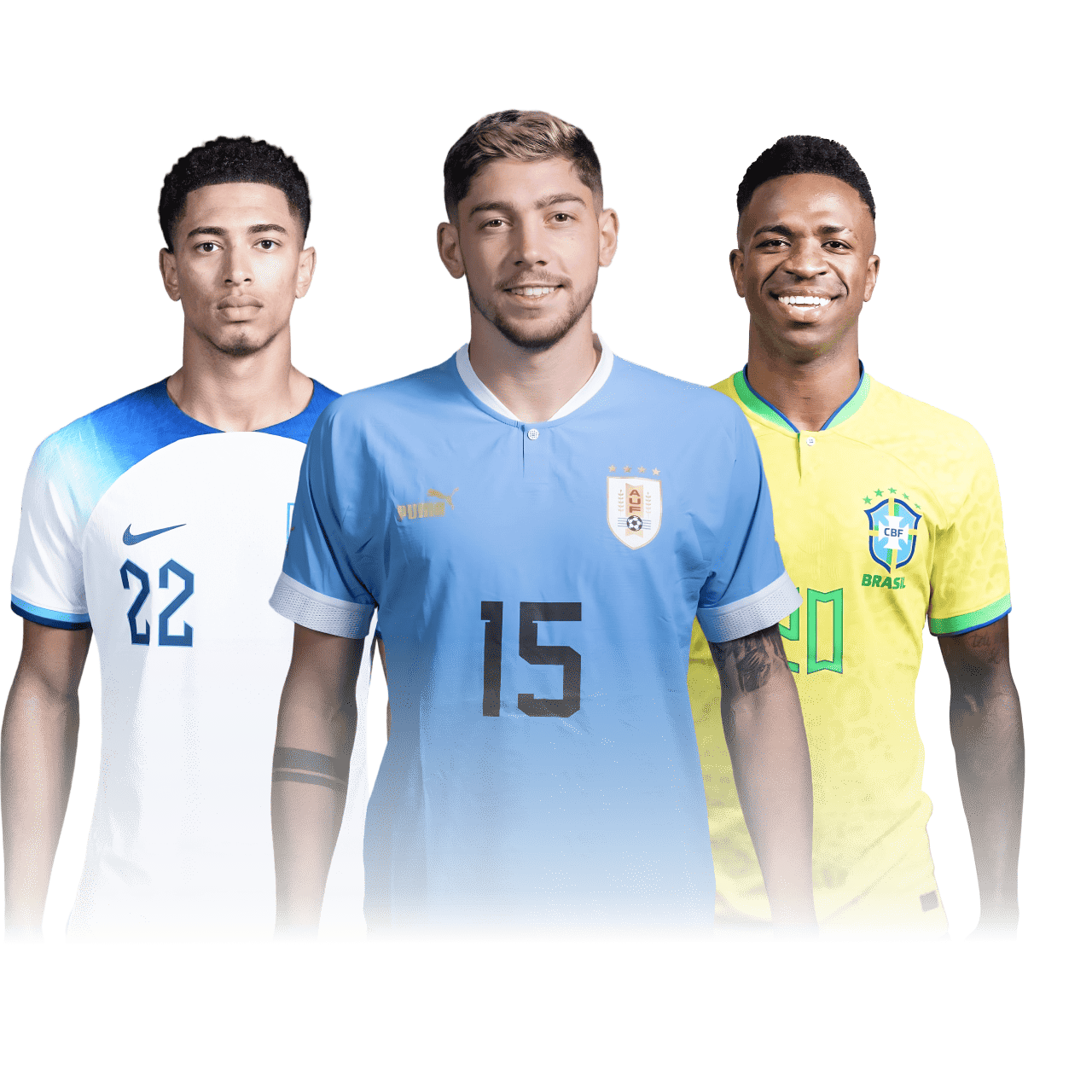 明尼苏达森林狼